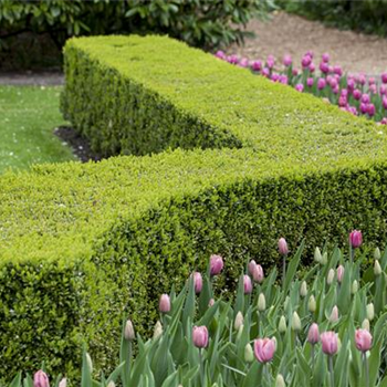 Gartenräume optimal gestalten