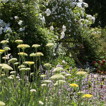 Lauschige Ecken im Garten