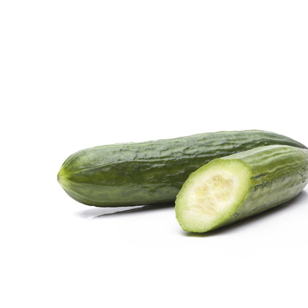 Cucumis sativus