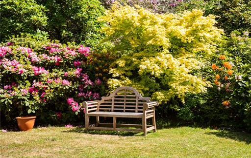 Bank im Garten